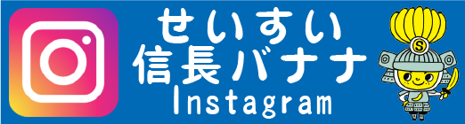 せいすい信長バナナInstagram