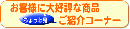 お客様に大好評な商品ちょっと見ご紹介コーナー